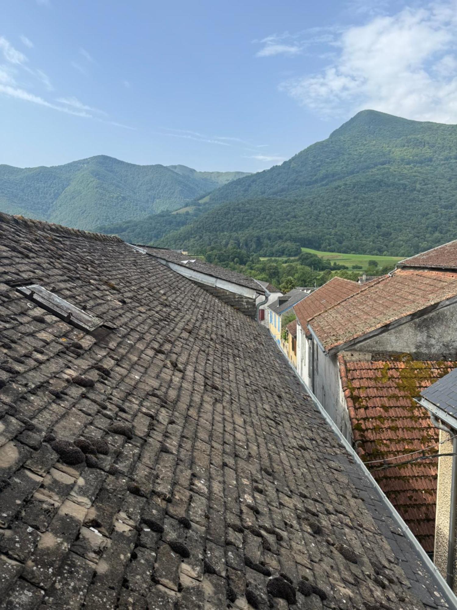 Les Maisons Des Pyrenees - Lourdes Saint-Pé-de-Bigorre Extérieur photo